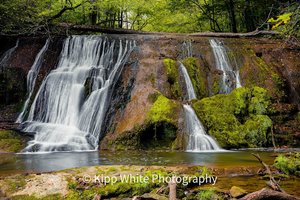 Garrett Creek