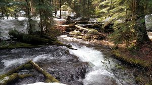 Little Zigzag Falls Trailhead