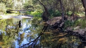 Carson’s Crossing