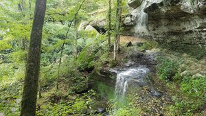 Rocky Bluff Trail