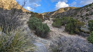 Sandia Foothills Open Space