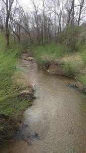 Wake Forest Greenway – Sanford Creek