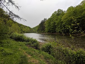 Loyalsock Trailhead