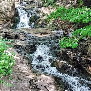 Turkey Hill Nature Preserve