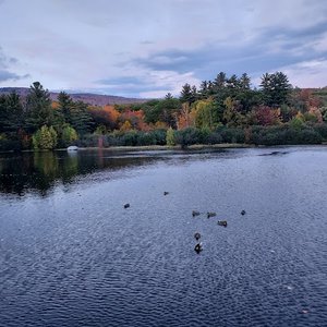 Brook Walk (Waterfalls) – Castle In The Clouds Conservation Area