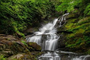 Mud Creek Falls