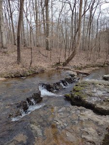 Shoal Creek Preserve