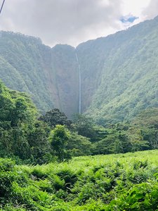 Waiamoa Falls