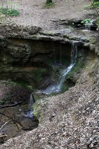 Alcove Spring