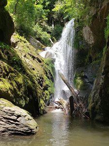 Laurel Falls