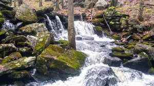 Rocky Brook Conservation Area