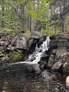 Peters Brook