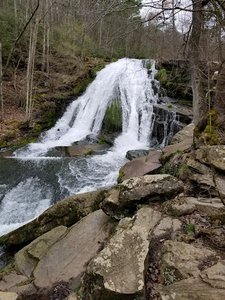 Roaring Run Loop Trail