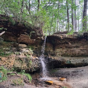 Peachtree Rock Heritage Preserve