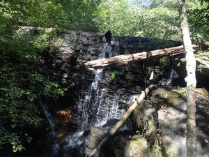Rocky Creek Waterfall – Pinhoti Trail/Heflin Spur