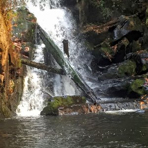 Turtletown Creek Falls Trailhead