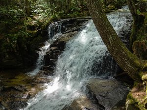 Gordon Fall