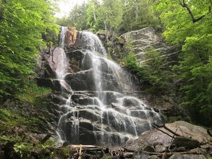 Beaver Meadows Falls