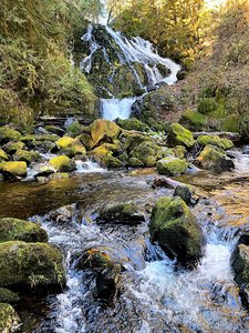 Fishhawk Falls