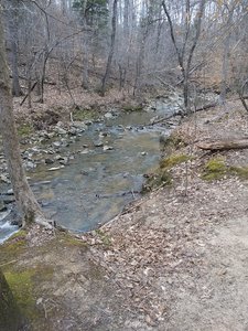 Ledge Creek Forest Conservation Area – Trailhead #2