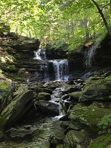 R B Ricketts Falls