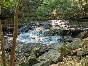 Vaughn Creek Greenway Hiking Trail