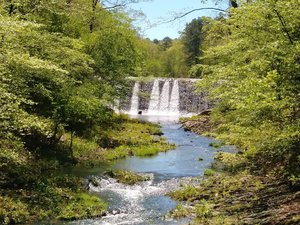Ouachita National Forest