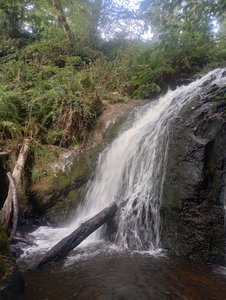 Mill Creek