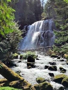 Gooch Falls