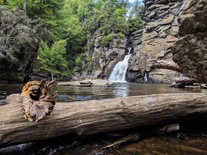 Plunge Basin