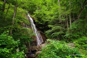 Katie’s Falls