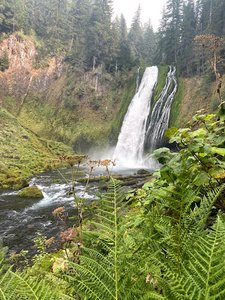 Lemolo Falls