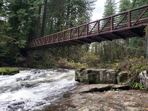Lower Falls