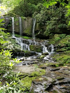 Foothills Trail – Laurel Valley Trailhead
