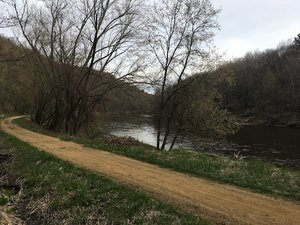Red Cedar Falls
