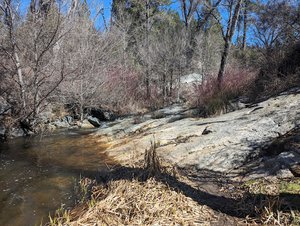 Trailhead (Doane Valley Nature Trail/Weir Trail)