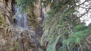Bluff Springs