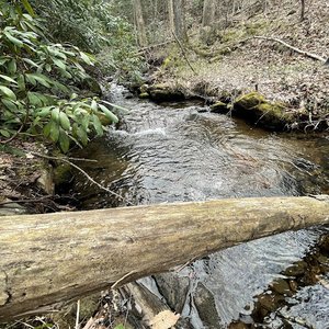 Nottely Falls