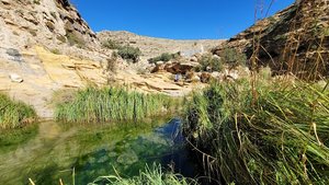 Guadalupe Backcountry Byway