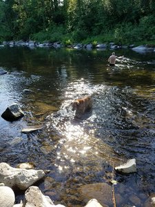 Washougal River