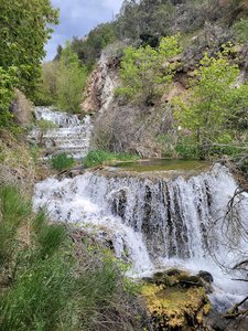 Riparian Zone