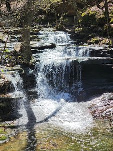 Cedar Creek Trail / Pioneer Cabin