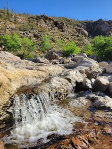 Lower Tanque Verde Trailhead
