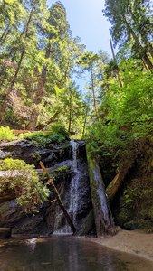 Russian Gulch State Park North Boundary Trail Parking