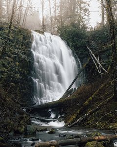 University Falls Trailhead