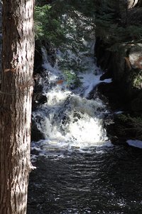 Penny’s Preserve at Peters Brook – Blue Hill Heritage Trust