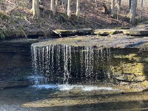 Waterfall Trail, Settlers Cabin Park