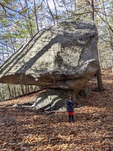 Balancing Rock – Orris Conservation