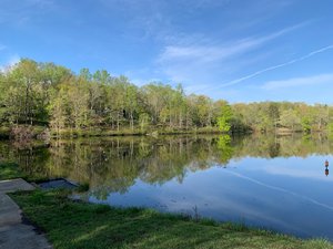 Farmville Lake