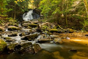 Alder Falls Trailhead
